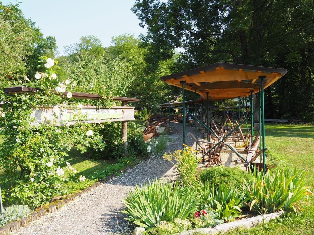 Gasthof Sturmmuehle Saxen Zewnętrze zdjęcie
